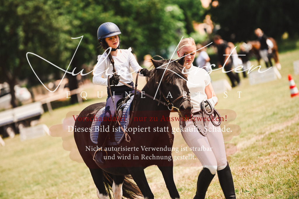 DSC_6717 | Pferde- und Turnierfotografie in Westsachsen. Pferdeportraits, Auftragszeichnungen und intuitive Kunst.