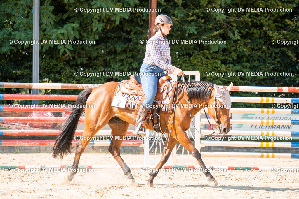 ZH100691 | dv-media-shop - Realisiert mit Pictrs.com