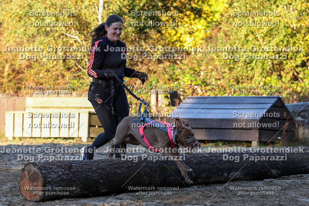 Dog Paparazzi - Strongdog 10-25-677 | Dog Paparazzi Jeanette Grottendiek Fotografie & Videografie - Realisiert mit Pictrs.com