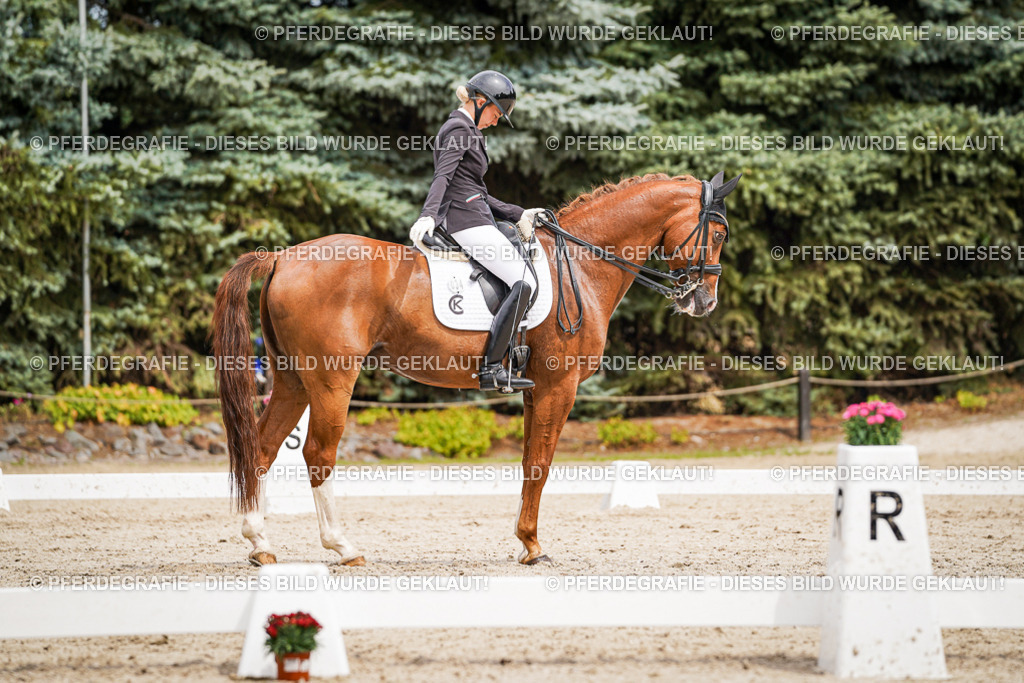 DSC05349 | Pferdegrafie