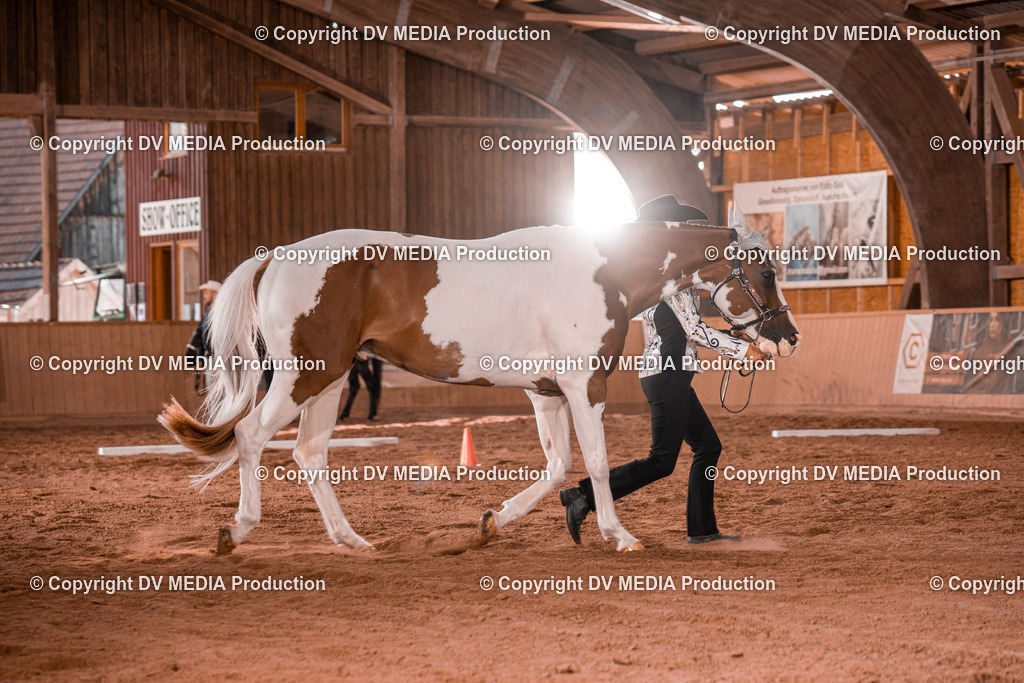 NE200080 | dv-media-shop - Realisiert mit Pictrs.com