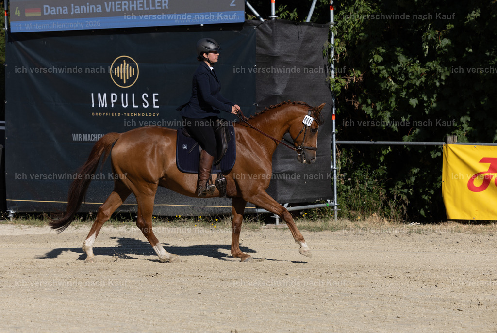 WA_Trail_64_KerstinBernhardt-24-2 | working equitationturnier fotograf videograf stoibphotography marixx film working equitation deutschland reitsport turnierfotografie eventfotografie equestrian events