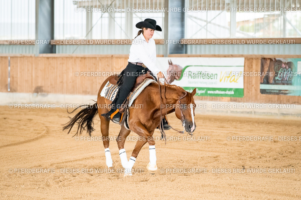 DSC02367 | Pferdegrafie