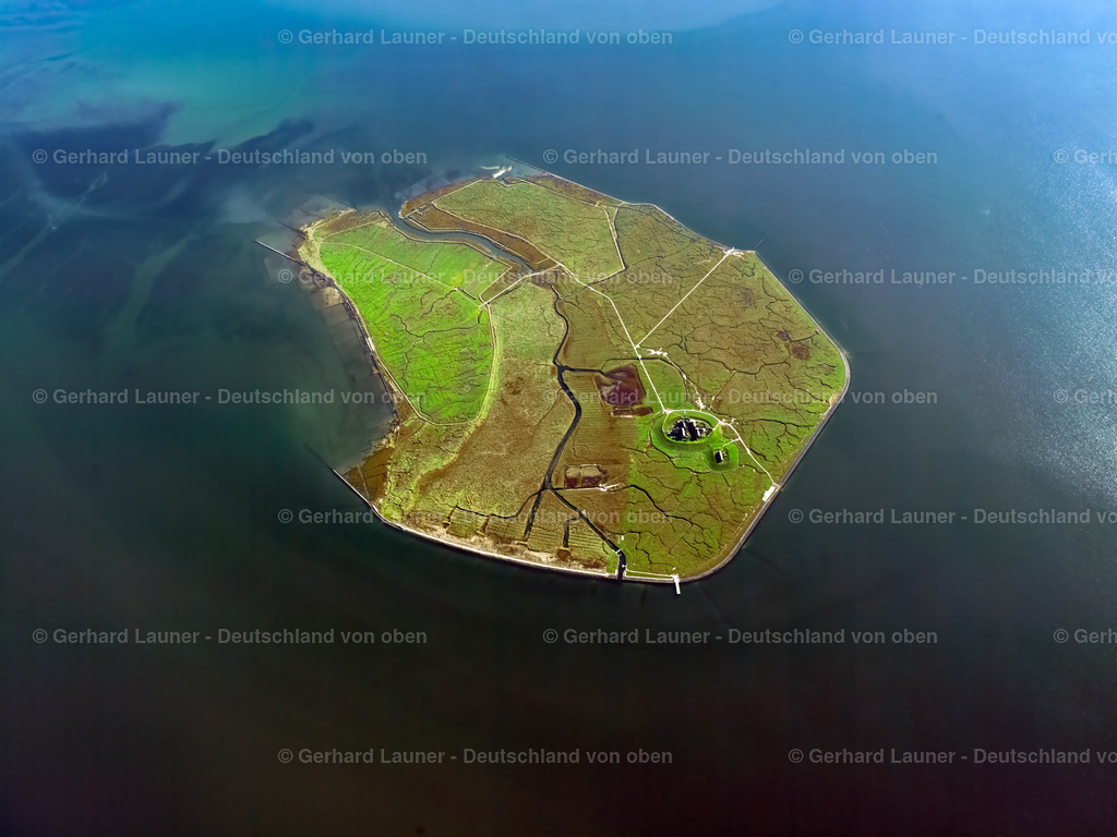 2581309 | GRöDE 26.07.2005 Grasflächen- Strukturen einer Hallig- Landschaft im nordfriesischen Wattenmeer in Gröde im Bundesland Schleswig-Holstein, Deutschland. // Green space structures a Hallig Landscape in Groede in the state Schleswig-Holstein, Germany. Foto: Gerhard Launer