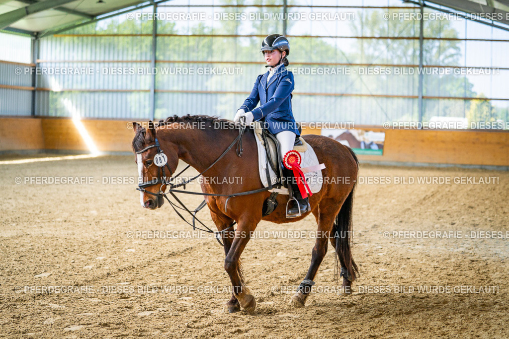 DSC02792 | Pferdegrafie