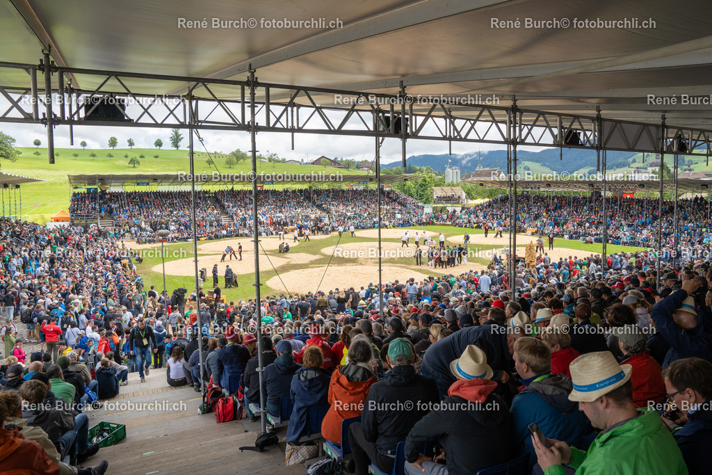 DSC02098 | René Burch leidenschaftlicher Fotograf aus Kerns in Obwalden.  Hier finden sie Sport, Landschaft und Natur Fotografie.
 - Realisiert mit Pictrs.com