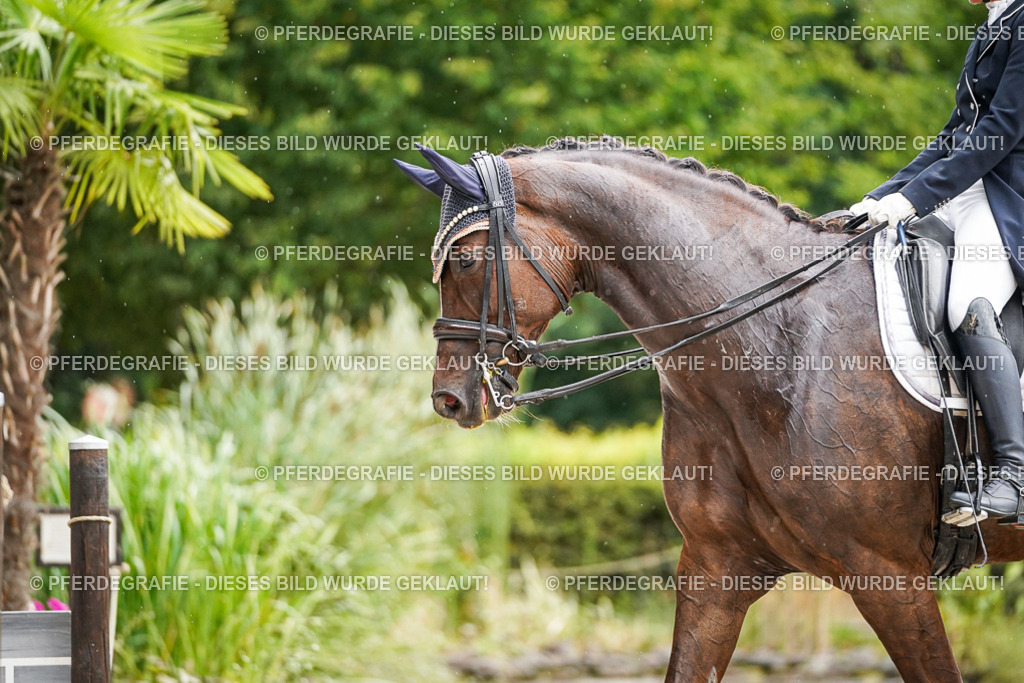 DSC07907 | Pferdegrafie