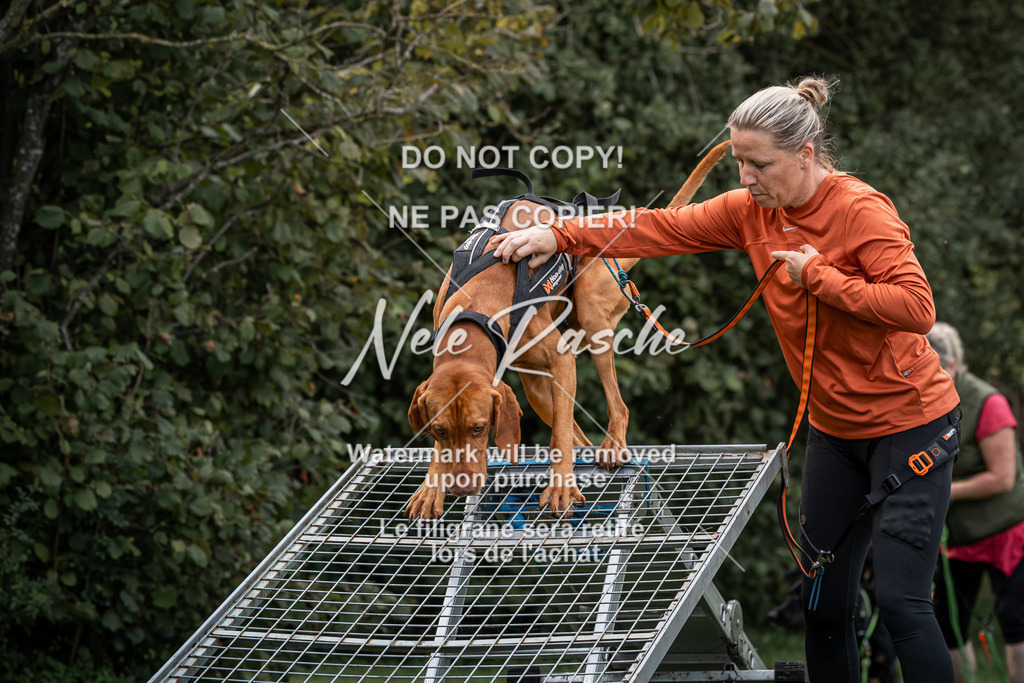nelerasche_SoLauf_09 | nelerasche