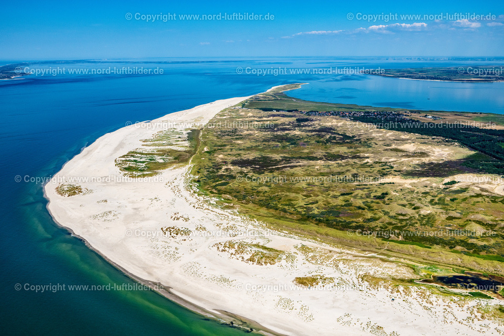 Amrum_Norddorf_ELS_0209130822 | NORDDORF 13.08.2022 Sandstrand- Landschaft entlang des Küsten- Verlaufes in Norddorf in Amrum Nordfriesland im Bundesland Schleswig-Holstein, Deutschland. Weiterführende Informationen bei: AmrumTouristik AöR. // Sandy beach landscape along the coast in Norddorf in Amrum Nordfriesland in the state Schleswig-Holstein, Germany. Further information at: AmrumTouristik AoeR. Foto: Martin Elsen