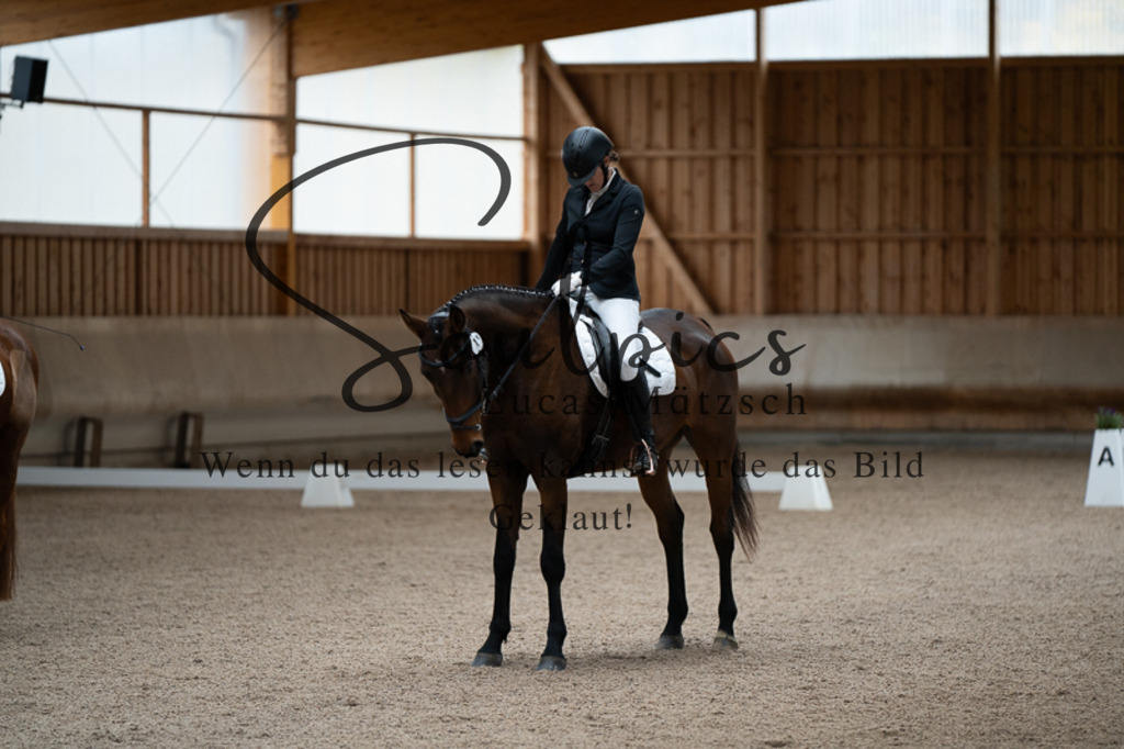 A7V02323 | Pferdefotograf