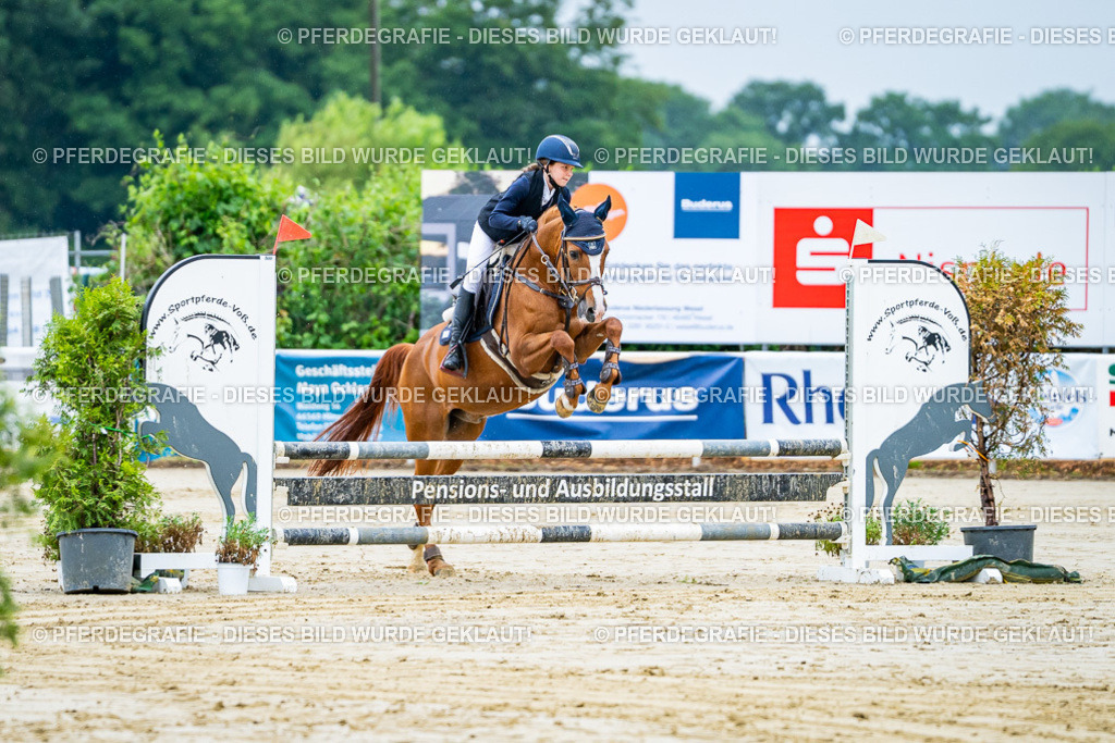 DSC01221 | Pferdegrafie