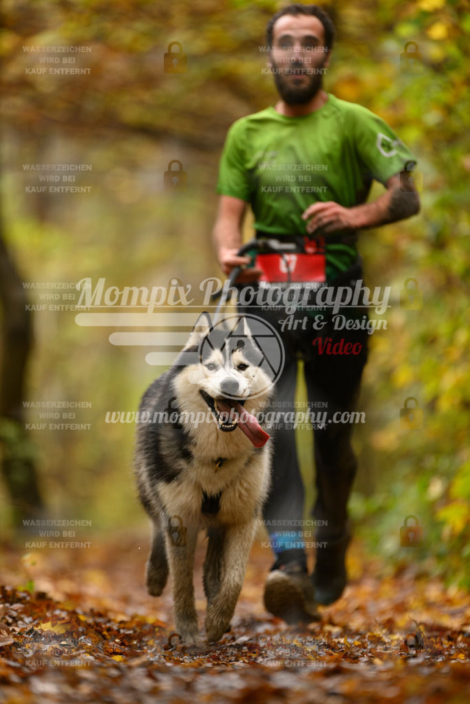 MompixPhotography_CD7S_DI_CCL-29 | mompixphotography