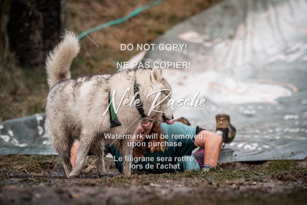 nelerasche_1330-1400_50 | nelerasche