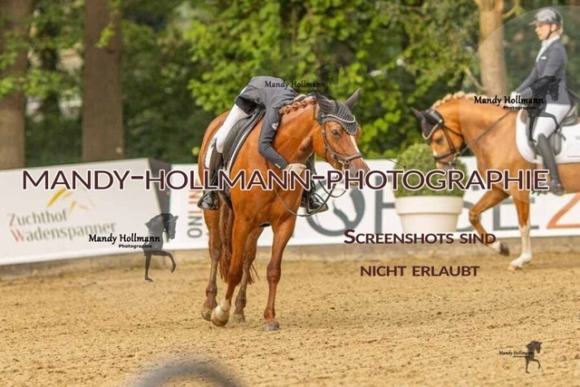 28-8-26 5j DRE-107 | mandyhollmannphotographie