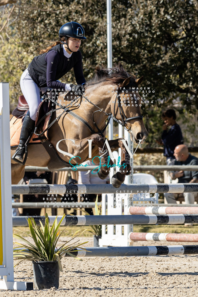 IMG_0259 | s-jay-photography - Realisiert mit Pictrs.com