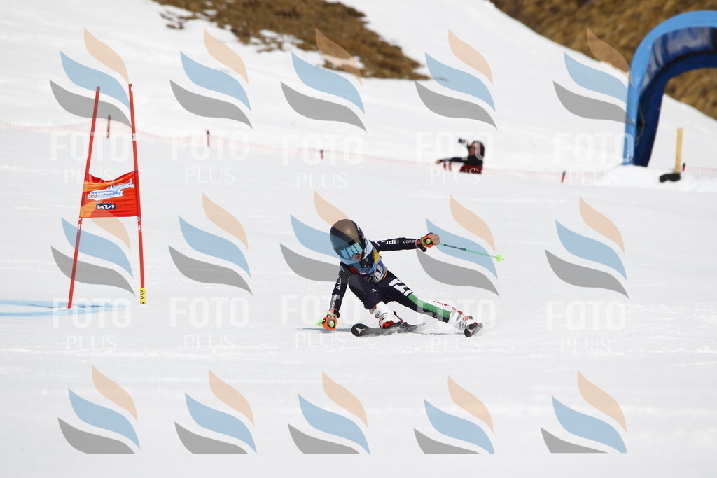 _U3G5432 | holidayphoto