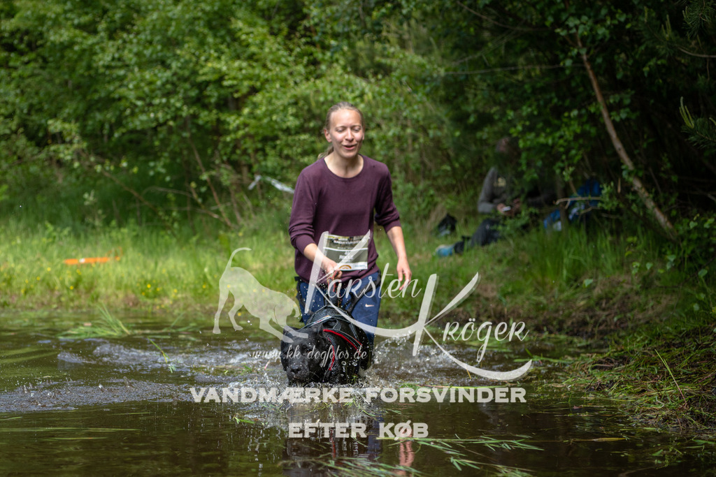 1225DKK992816 | kk-dogfotos