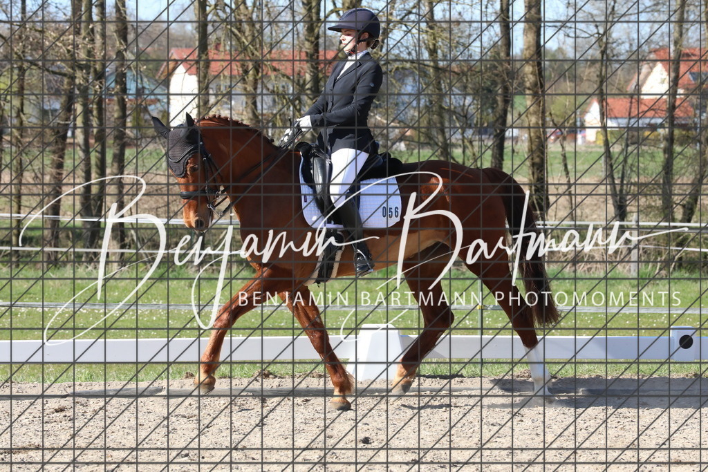 AZ2A5333 | Benjamin Bartmann Photomoments