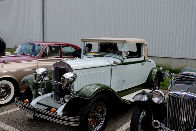 Calag_Oldtimer2025-53 | Ich fotografiere Hundeausstellungen, Sportanlässe, Zuchtstätten, Hundezucht, Hundeportrait, Lagotto - Realisiert mit Pictrs.com