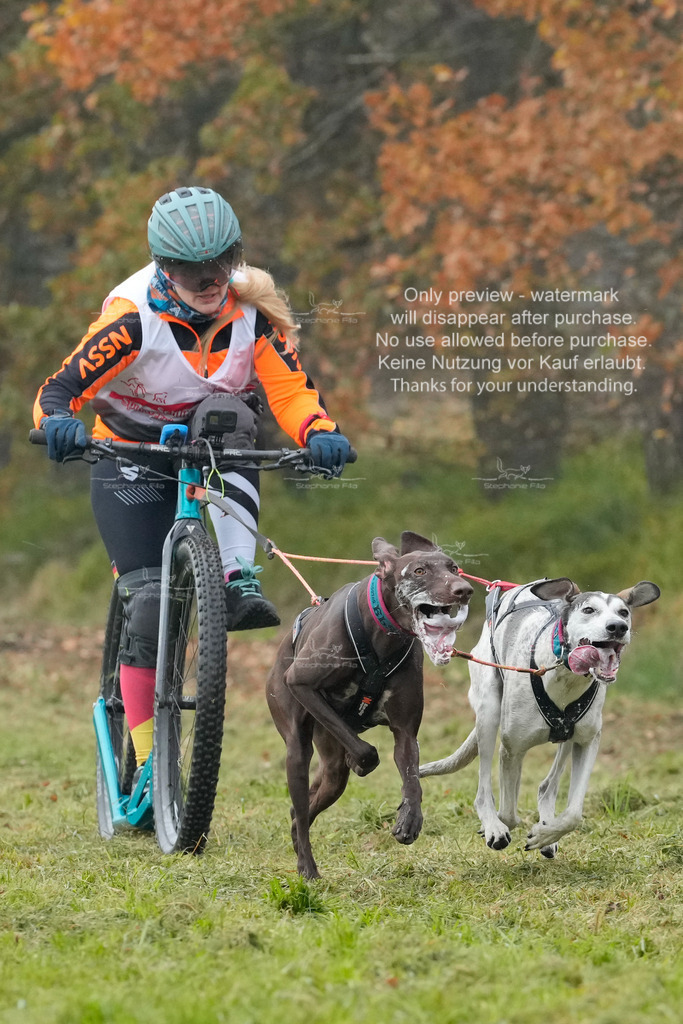 AusschnitteSa-174 | stephaniefillaphotographie - Realisiert mit Pictrs.com