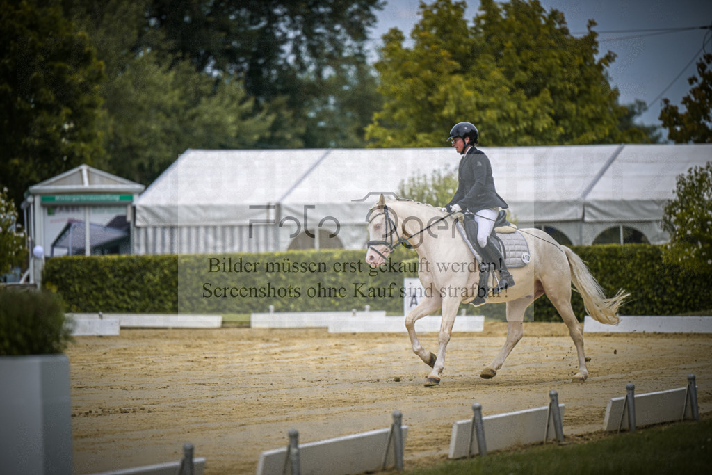DOS_0670 | Entdecke hochwertige Reitturnierfotos von Foto Oger. Professionell, emotional und authentisch – jetzt Lieblingsmomente im Shop bestellen.Deutschlandweite Turnierfotografie. - Realisiert mit Pictrs.com