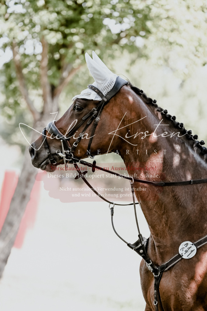 DSC_9497 | Pferde- und Turnierfotografie in Westsachsen. Pferdeportraits, Auftragszeichnungen und intuitive Kunst.