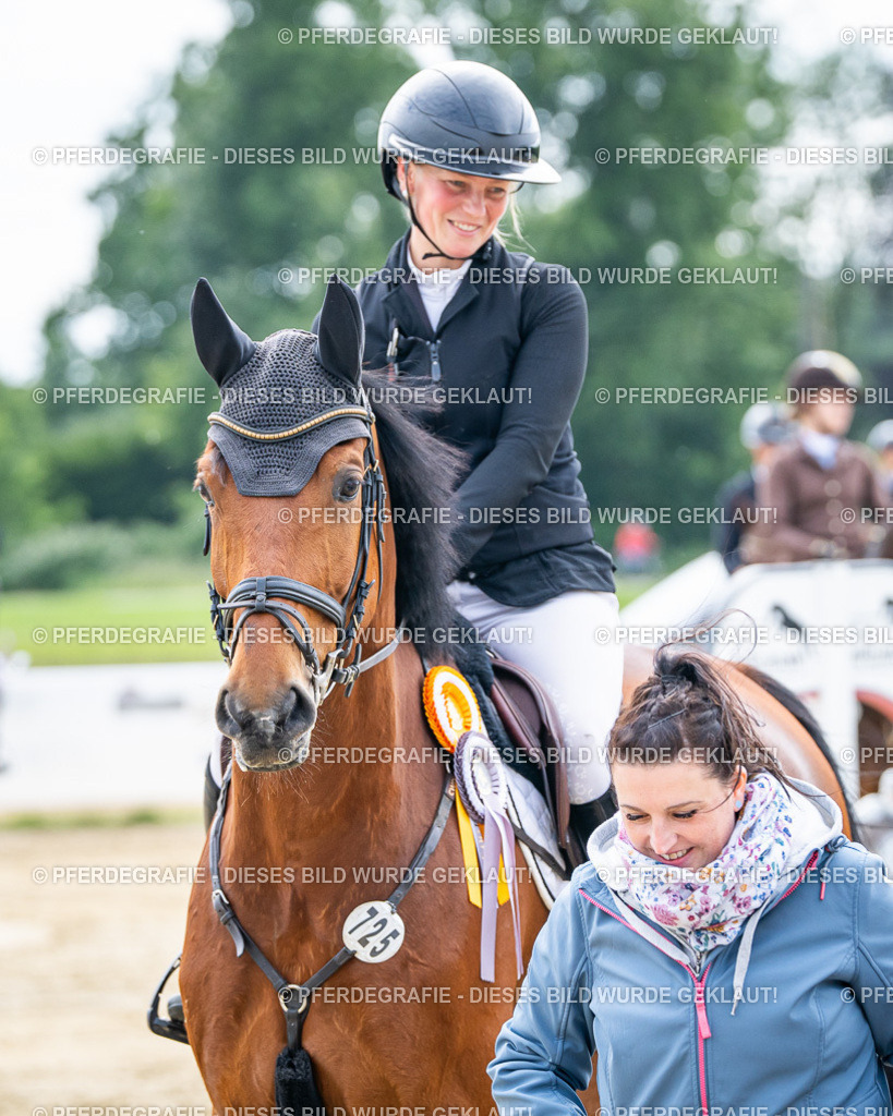 DSC05648 | Pferdegrafie