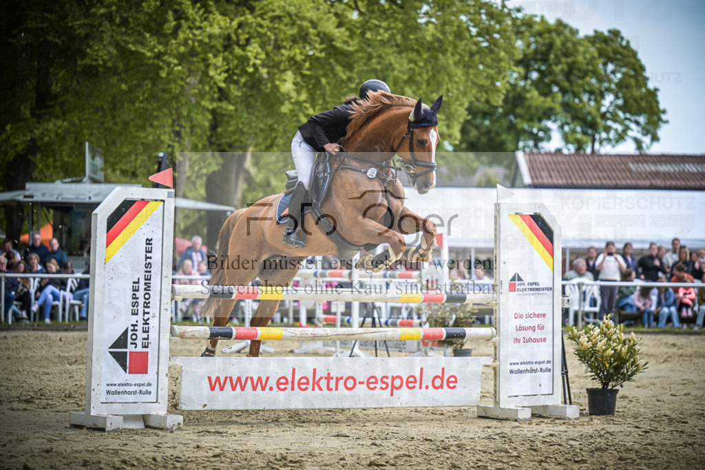 DOS_2463 | Entdecke hochwertige Reitturnierfotos von Foto Oger. Professionell, emotional und authentisch – jetzt Lieblingsmomente im Shop bestellen.Deutschlandweite Turnierfotografie. - Realisiert mit Pictrs.com