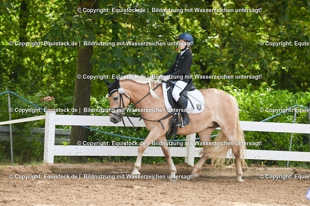 20230716_10-2_Reiter-WB Schritt - Trab - Galopp_0183 | equistock