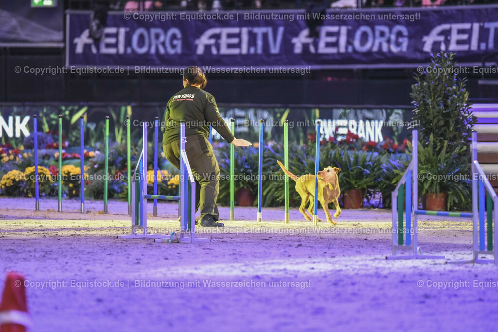 20231115_Dog-Agility_0119_TOMsPiC | Foto: Thomas Hartig