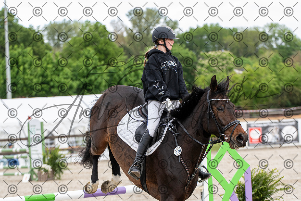 KPT_7834 | andre_photographic