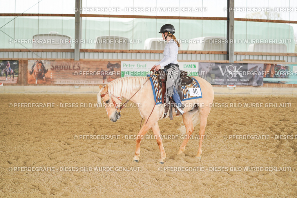 DSC03555 | Pferdegrafie