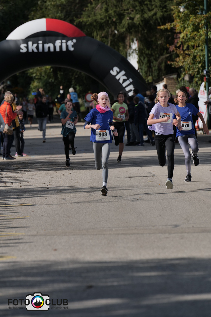 P1039403 | Foto Buchgraber