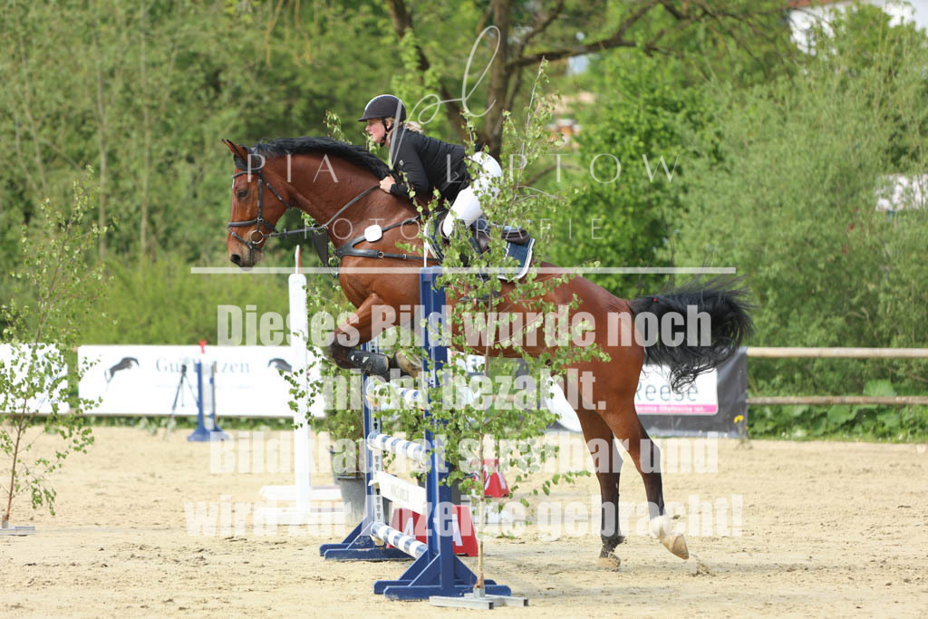 IMGM5861 | pl-fotografie