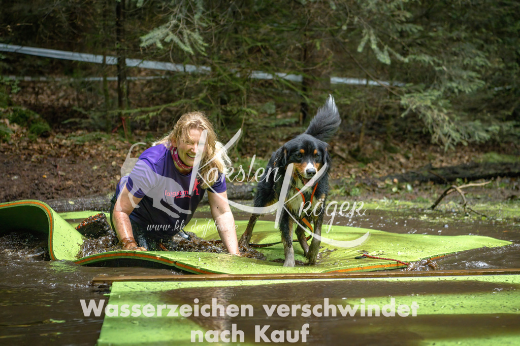 1537_ZZ91500-Bearbeitet | kk-dogfotos