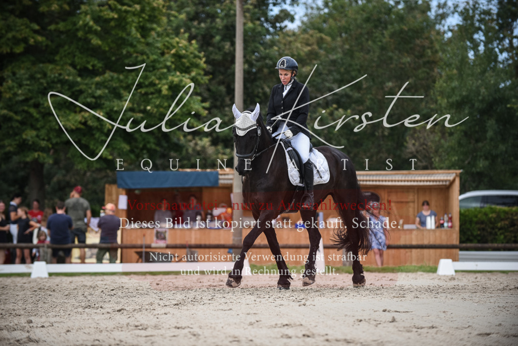 DSC_8627 | Pferde- und Turnierfotografie in Westsachsen. Pferdeportraits, Auftragszeichnungen und intuitive Kunst.