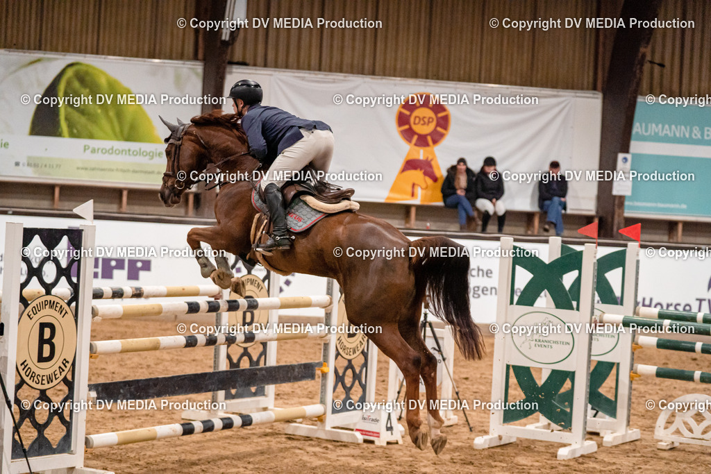 Kranichstein Tag 2-1105 | dv-media-shop - Realisiert mit Pictrs.com