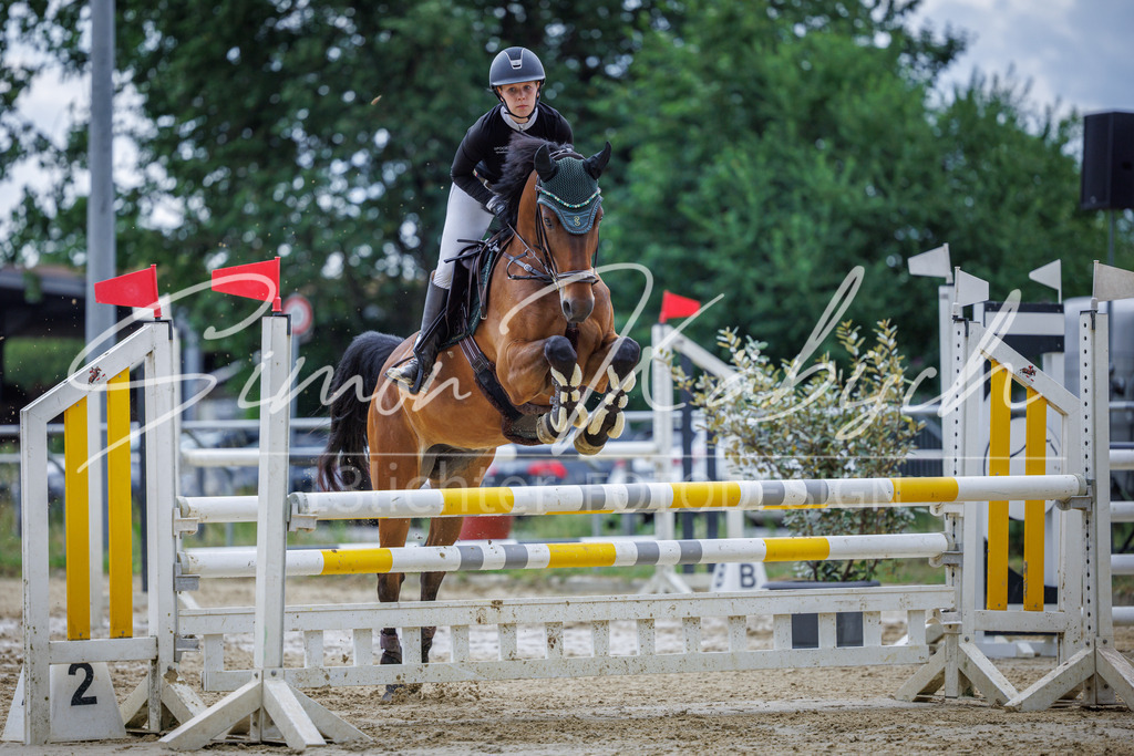 20260705-_3LI5858 | Tierfotografie Pferde, Hunde, Katzen, Haustiere.
Turnierfotografie Reitturniere, Reiten, Springreiten, Dressur in Hanau, dem Main-Kinzig-Kreis und dem Rhein-Main- Gebiet um Frankfurt