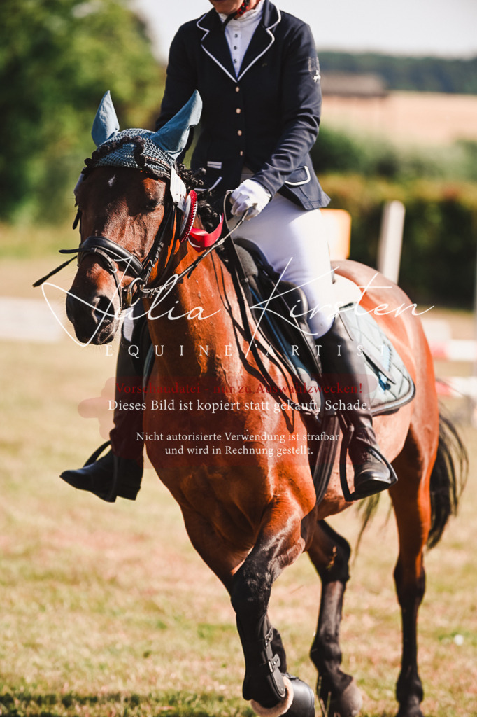 DSC_7401 | Pferde- und Turnierfotografie in Westsachsen. Pferdeportraits, Auftragszeichnungen und intuitive Kunst.