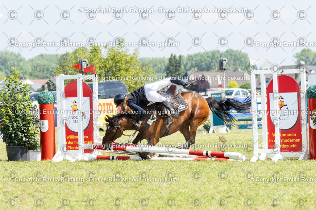 CL5A3404 | Emilia Reinking Fotografie - Realisiert mit Pictrs.com