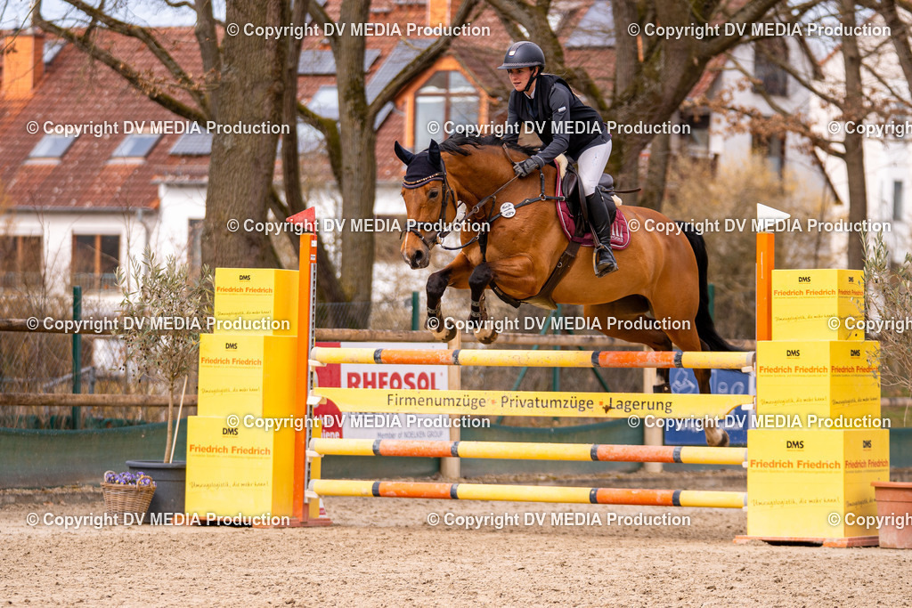 Kranichstein Tag 2-610 | dv-media-shop - Realisiert mit Pictrs.com