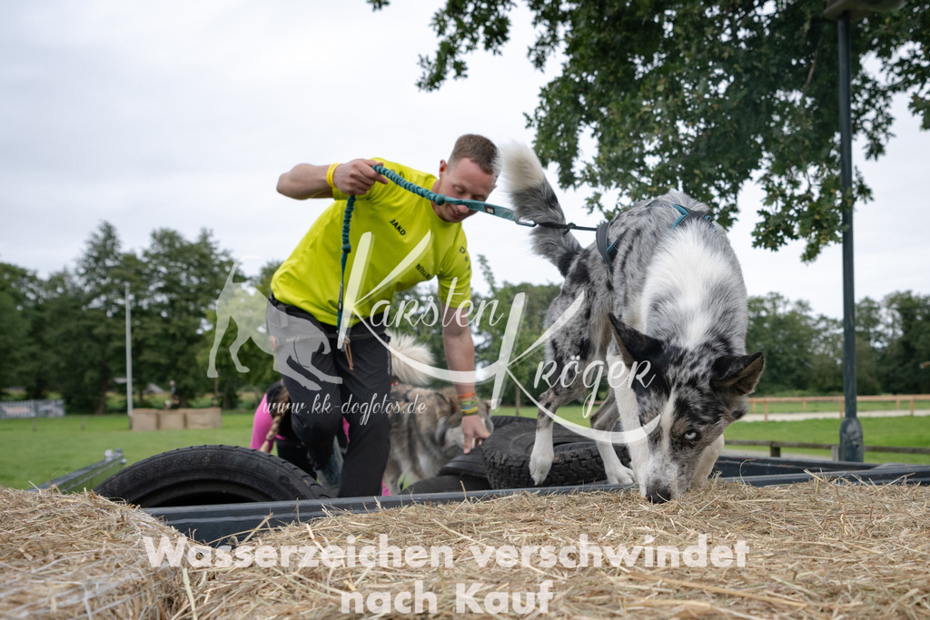 1212_ZZ94883 | kk-dogfotos