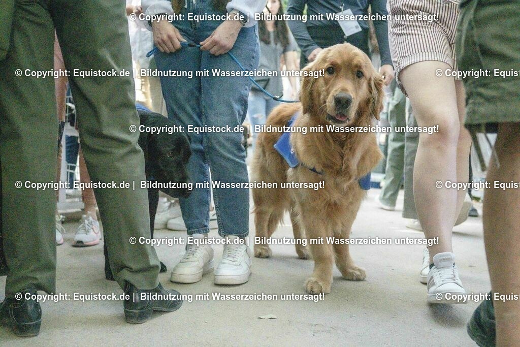 20230527_14_CSI4_Lotto-Hessen-Preis_0254 | equistock