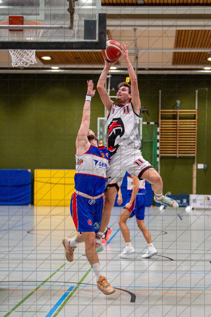 2. RL West | 05.10.2024 | Bad Essen vs. TSG Westerstede 2 | 2. RL West | 05.10.2024 | Bad Essen vs. TSG Westerstede 2 - - - - - CREDIT, www.bullenfotos.de, Martin König, Hörner Weg 40, D-49078 Osnabrück, +4917663732967, Nutzung und Weitergabe nur zu den vereinbarten Zwecken. Presseanfragen an Ersteller. Alle Rechte beim Ersteller. - - - - - - Realisiert mit Pictrs.com