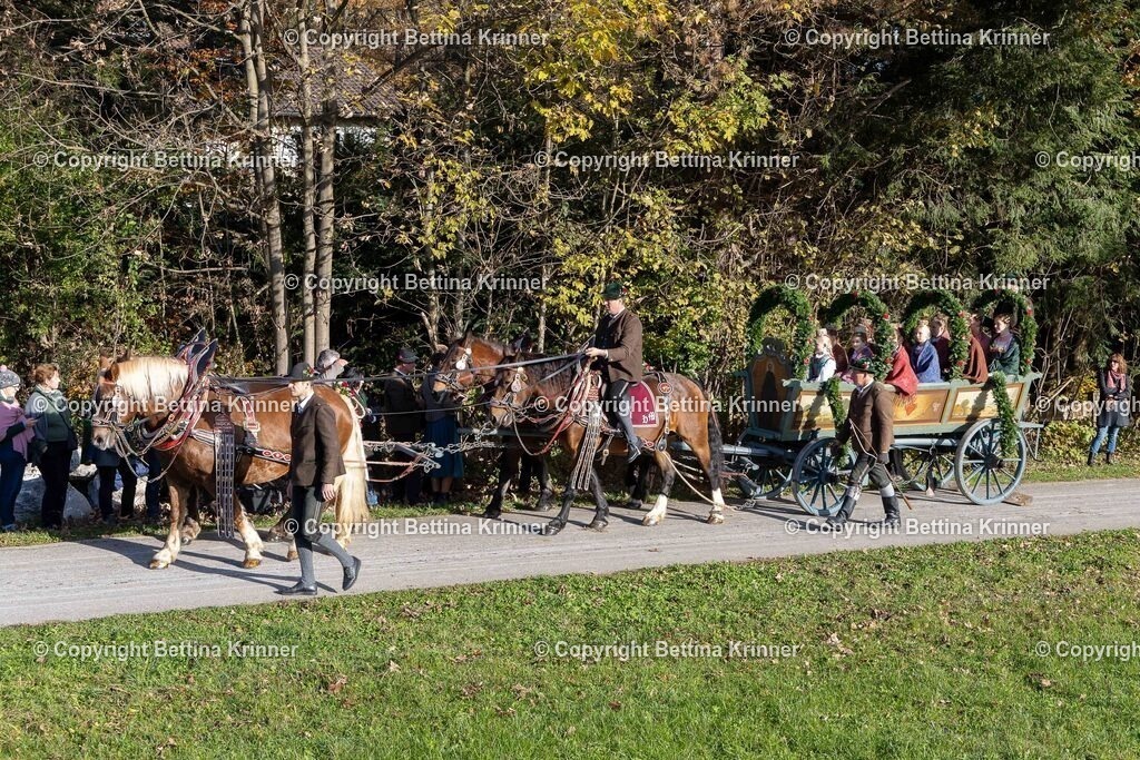 LBT24-199 | foto-bettina-krinner - Realisiert mit Pictrs.com