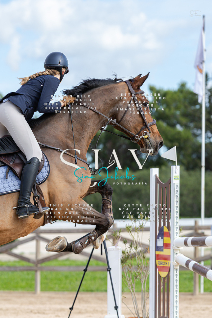 IMG_2888 | s-jay-photography - Realisiert mit Pictrs.com