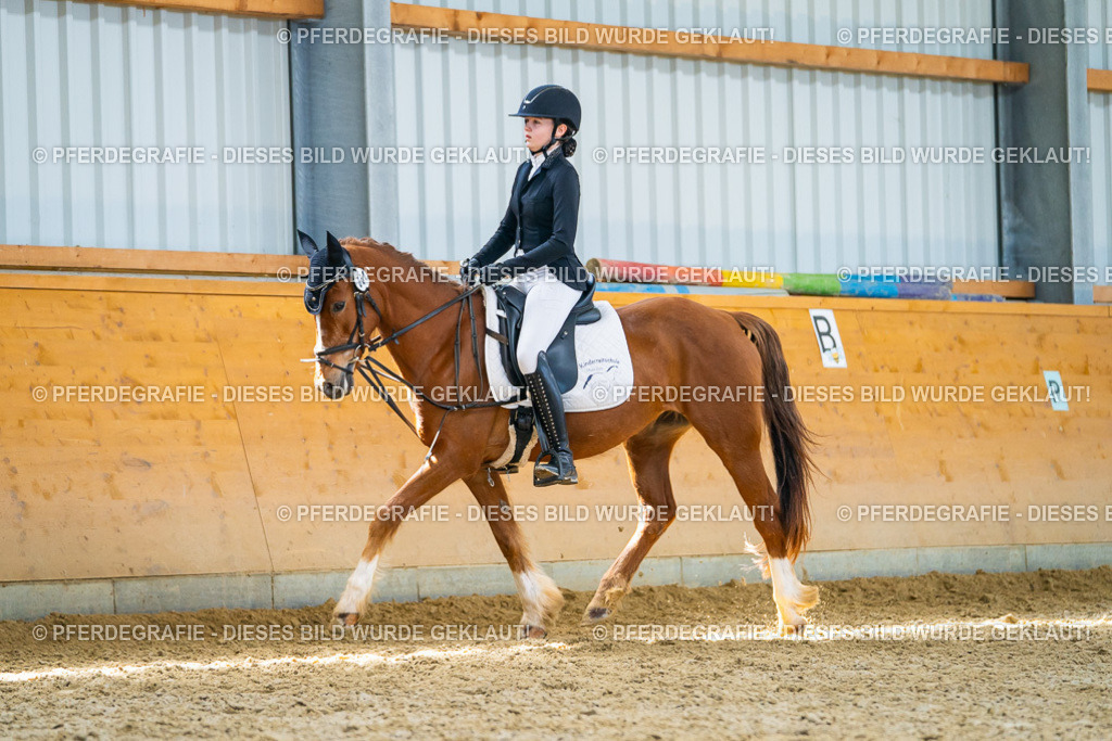 DSC08885 | Pferdegrafie