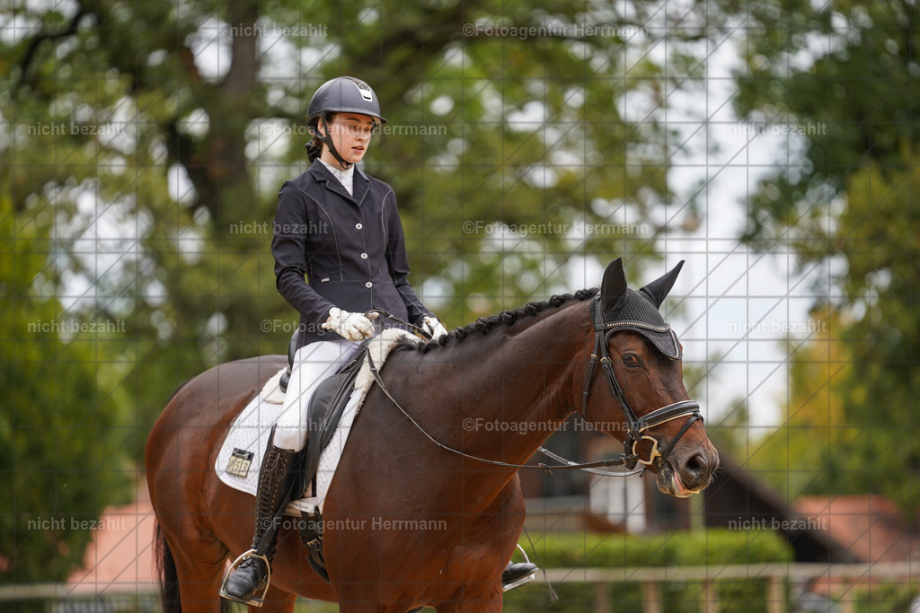 20231007-SN_00732 | Diessen am Ammersee, 2023, Dressur- und Springturnier, Reitsport, Turnierfotografie, Pferdebilder, Reitbilder, Turnierfotografen Bayern, Fotoagentur Herrmann