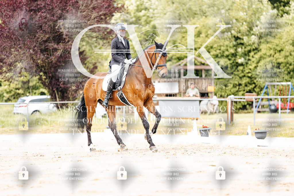 CK900789 | Turnierfotografie Pferdefotografie Trier Rheinland-Pfalz Pferdesport Reitsport Tierfotografie Sportfotografie Pferdevideo Pferdevideografie Equestrianvideography equestrianphotography  - Realisiert mit Pictrs.com