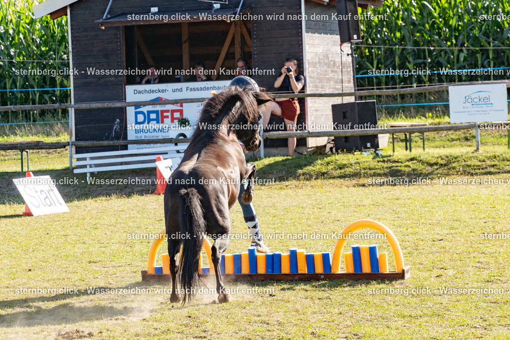 2026-08-08_16-19-42_WBO_Pulsnitz | sternberg.click - Realisiert mit Pictrs.com
